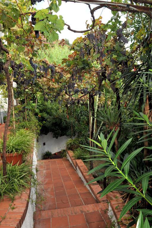 Villa Maria Antonietta Vietri 部屋 写真
